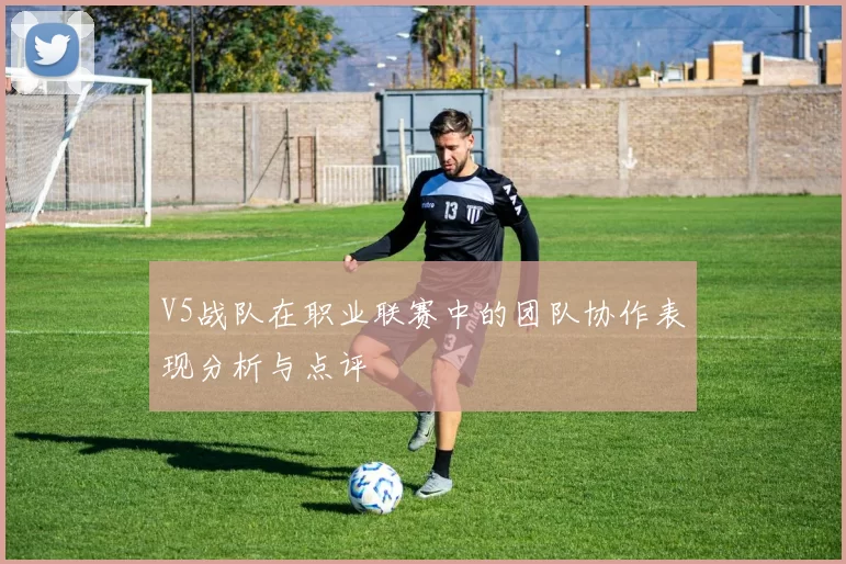 V5战队在职业联赛中的团队协作表现分析与点评