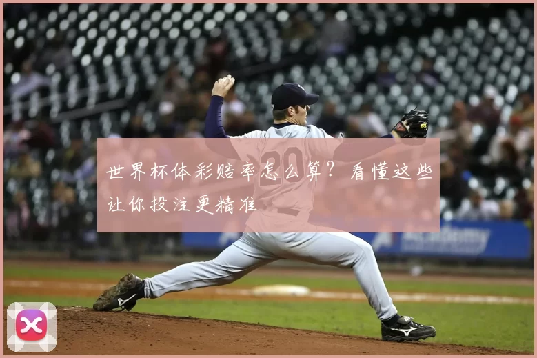 世界杯体彩赔率怎么算？看懂这些让你投注更精准