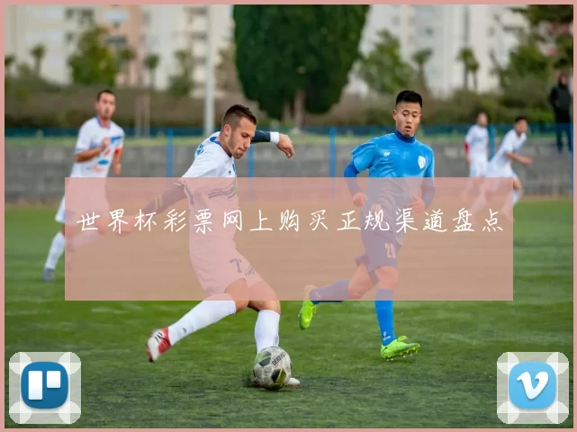 世界杯彩票网上购买正规渠道盘点