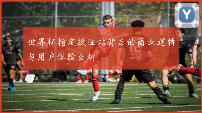 世界杯指定投注站背后的商业逻辑与用户体验分析