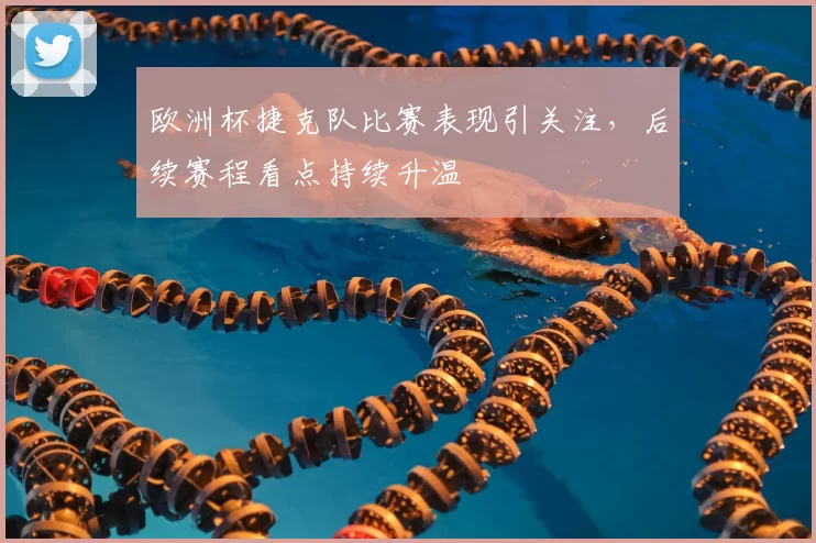 欧洲杯捷克队比赛表现引关注，后续赛程看点持续升温