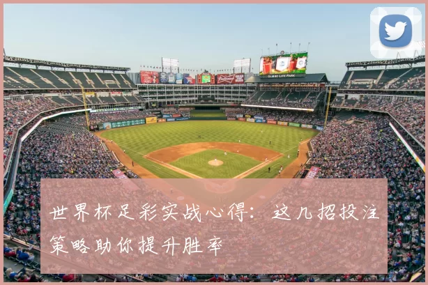 世界杯足彩实战心得:这几招投注策略助你提升胜率