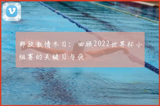 那段激情冬日：回顾2022世界杯小组赛的关键日与夜