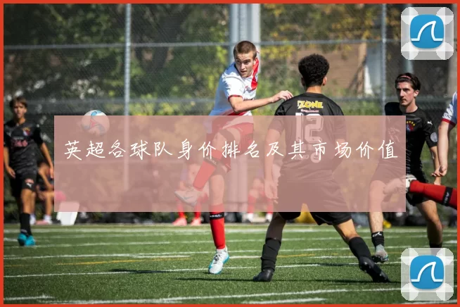 英超各球队身价排名及其市场价值