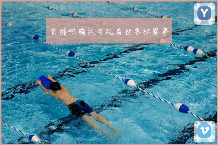 直播吧确认可观看世界杯赛事