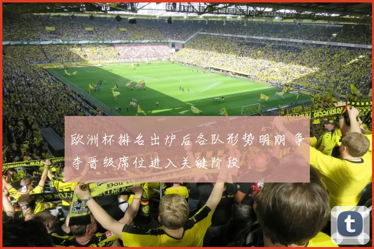 欧洲杯排名出炉后各队形势明朗 争夺晋级席位进入关键阶段