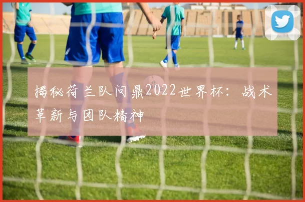揭秘荷兰队问鼎2022世界杯:战术革新与团队精神